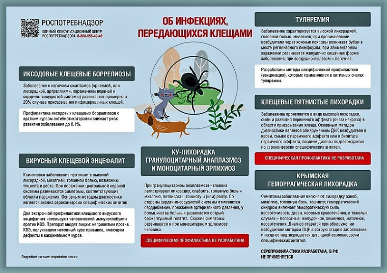 Территориальный отдел Управления Роспотребнадзора по Кировской области в Уржумском районе информирует.